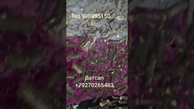 Фуруши қаламчаи павловния смотреть онлайн