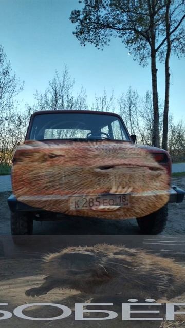 Апвппа бобер. Наш тгк по ссылке в профиле! automobile bobr car