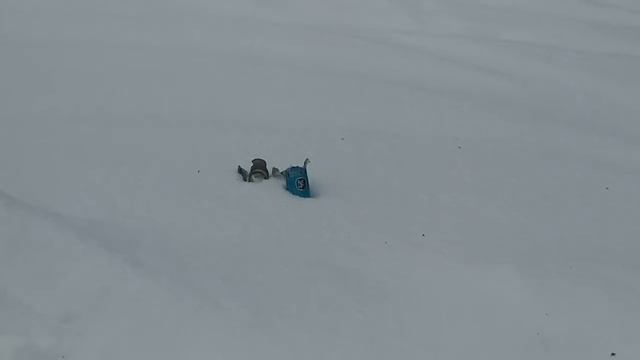 нашли занятие под новый год,надо идти на бобров смотреть онлайн