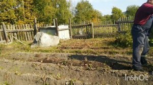 работа с ККМ -1 в 2024 г