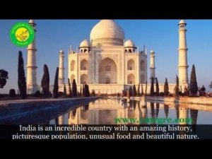 Конференция Владимира Мегре в Индии.