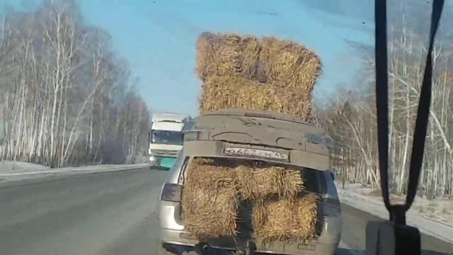 Смешное видео. Ржака. Везут сено. Смеялся целый день смотреть онлайн