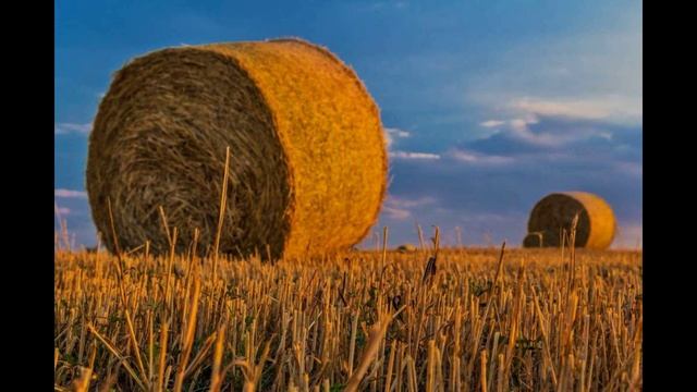 Растениеводство в России