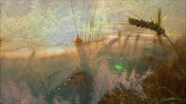 Красивая релаксирующая музыка для отдыха! Новинка от Djeff-Z смотреть онлайн