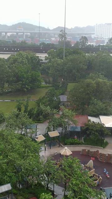 Saola  Typhoon Signal T9 in hong kong #LaiChiKok #Park смотреть онлайн