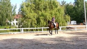 зая галоп гимнастика2