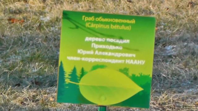 ЕВРОПЕЙСКАЯ ЗИМА В УКРАИНЕ ❄ Когда такое было? смотреть онлайн