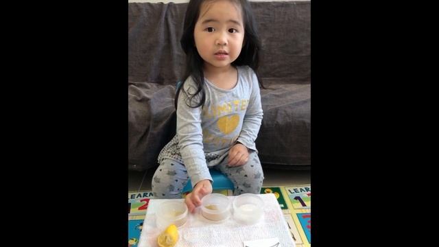 Sophie Learns Through Play - Learning the Five Senses смотреть онлайн