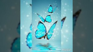 фф про Т/И и Драко Малфоя *Сестра Гарри Поттера на слизерине*6,7 серия