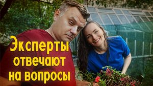 Эксперты отвечают на вопросы зрителей. ВСЕ ССЫЛКИ В ОПИСАНИИ!!!