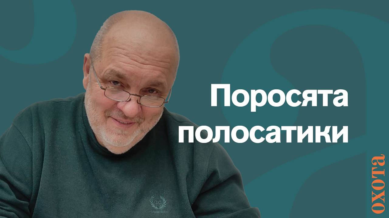 Поросята полосатики. Валерий Кузенков о последних кабанах.