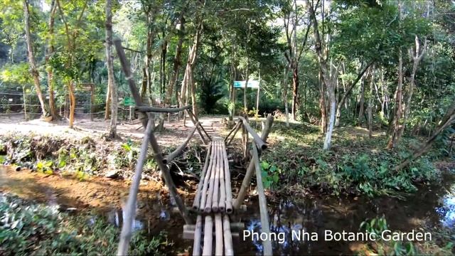 Phong Nha (Vietnam) смотреть онлайн