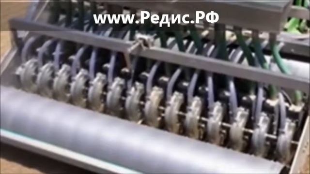 Сеялка для редиса koppert смотреть онлайн