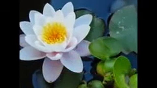 Отличных выходных! смотреть онлайн