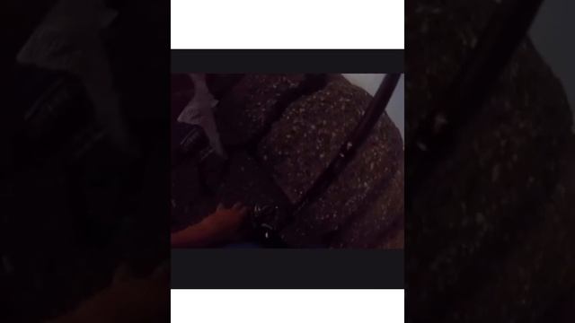 Spinning inshore - barracuda kg 1,400 смотреть онлайн