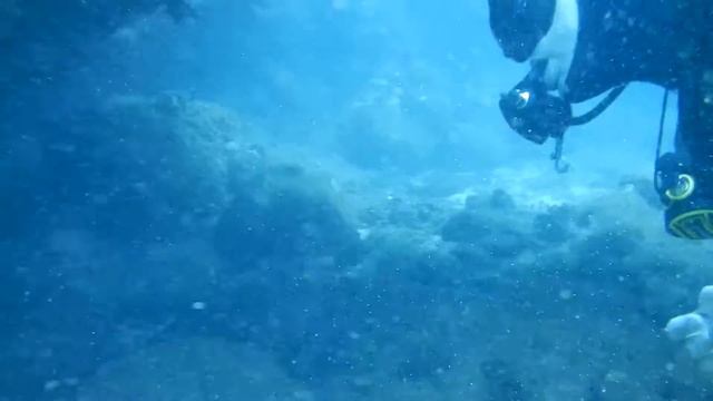 Underwater Kauai смотреть онлайн