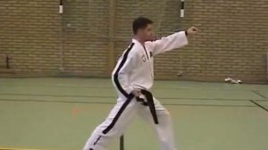 Дан Гун видео в тхэквондо туль  на желтый пояс 8 гып, хьенг 21 движение, комплекс Dan Gunl Tul спор