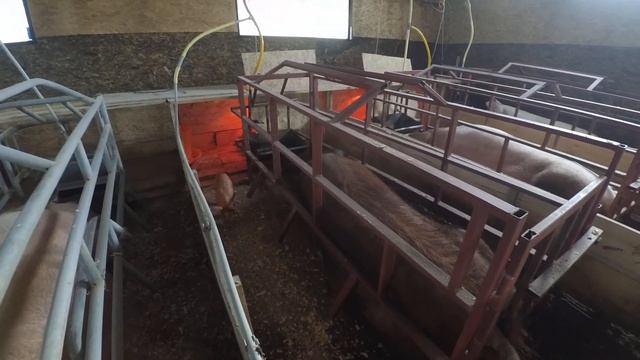 Попали с Хендриксом; переезд Рябушки. смотреть онлайн