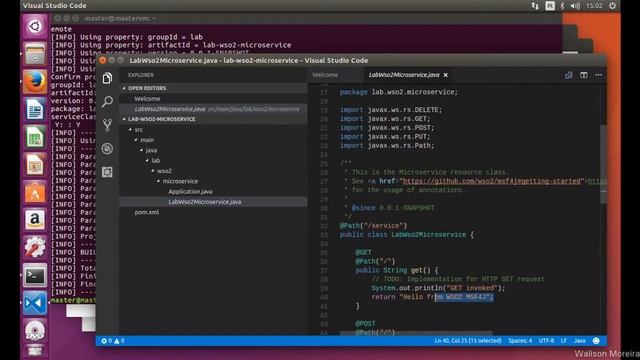 Criando microservices com WSO2 MSF4J смотреть онлайн