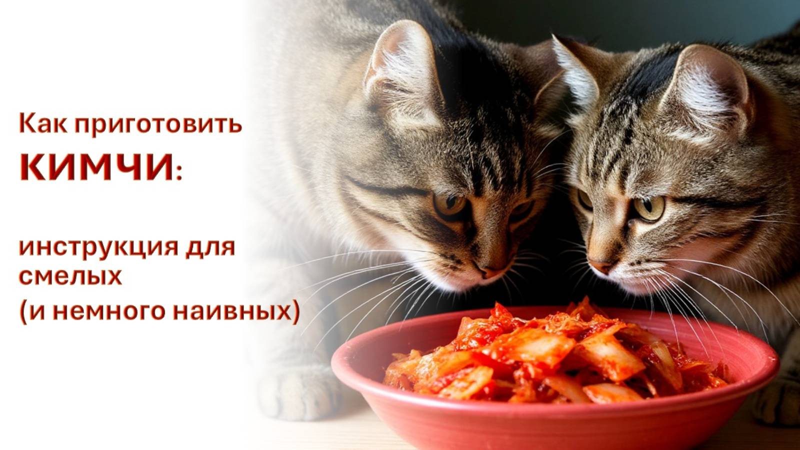 АНОНС: «Как приготовить кимчи: инструкция для смелых (и немного наивных)» (Рецепты «Мир на Вкус»)