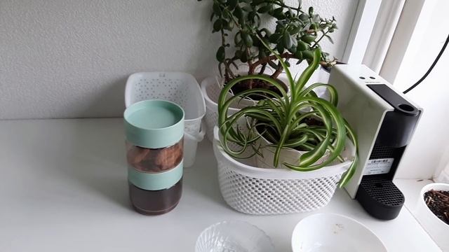 Уборка #95 кухня перед мамой) (2 сезон) смотреть онлайн