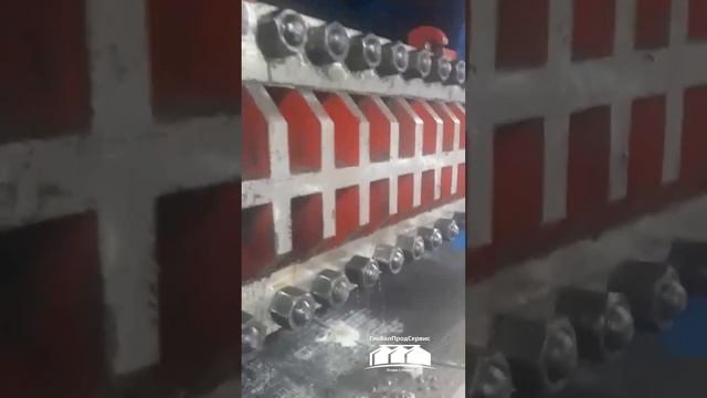 Производство подсолнечного масла и жмыха. Линия маслопрессования в Оренбургской области