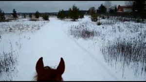Зимняя прогулка верхом на лошади