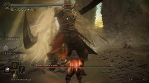 Elden Ring Promised Consort Radahn no hit