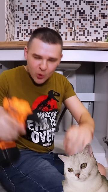 БЕЛКА БОЛЬШАЯ ХУЛИГАНКА смотреть онлайн