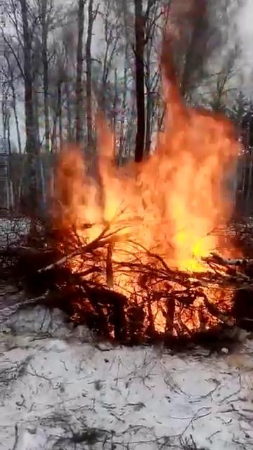 ЗВУК огня большого костра ❗ смотреть онлайн