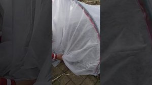 Тоннель для грядки своими руками.  Истринский сад.