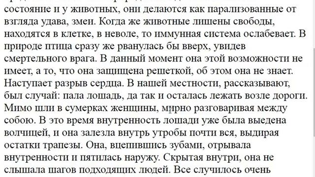 1054. Кого Бог наказал, и почему так случилось?