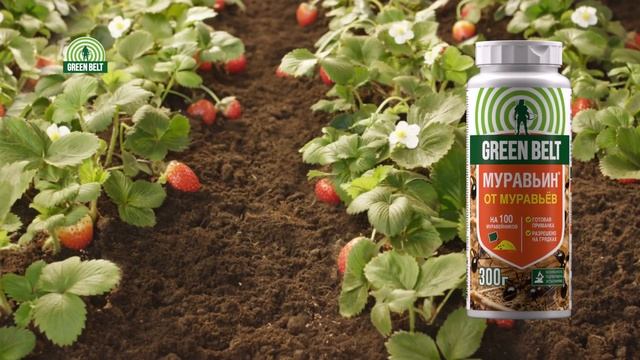 МУРАВЬИН от Green Belt. Эффективен от садовых муравьев. смотреть онлайн