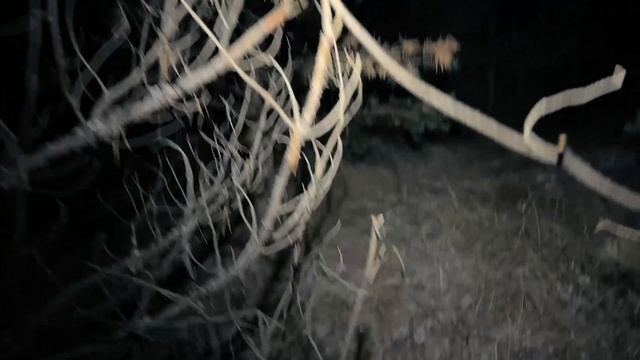 НОЧУЮ НА ОЗЕРЕ, СТАВЛЮ ПАЛАТКУ, ГОТОВЛЮ ЕДУ, ДУШЕВНЫЕ РАЗГОВОРЫ О ЖИЗНИ