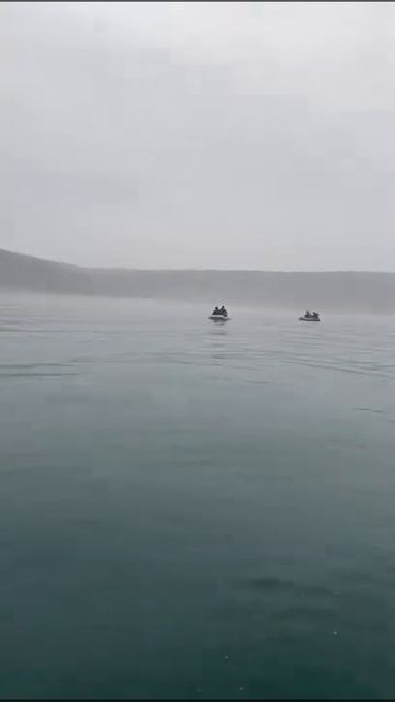 26.03.2022. бухта Авангард. Минтай смотреть онлайн