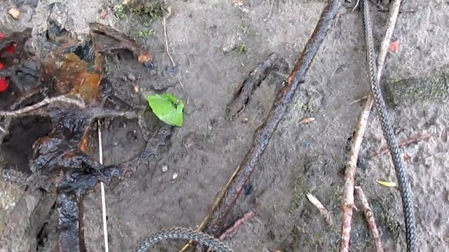 Поисковый магнит Литва Добиваем уголок смотреть онлайн