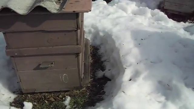 Первый очистительный облёт 24.02.2017 смотреть онлайн