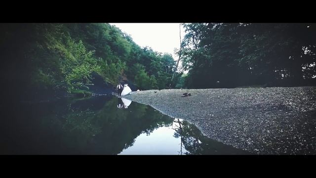 Максим и Виктория. Свадебный клип. смотреть онлайн