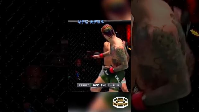 Sugar Sean O'Malley vs Thomas Almeida!#seanomalley#shorts #shortvideo #ufc #ufc2023 #ufcknockouts смотреть онлайн