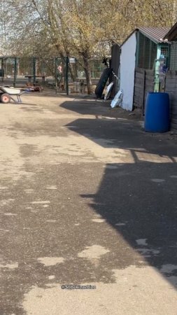 День начался, нас тут ждут