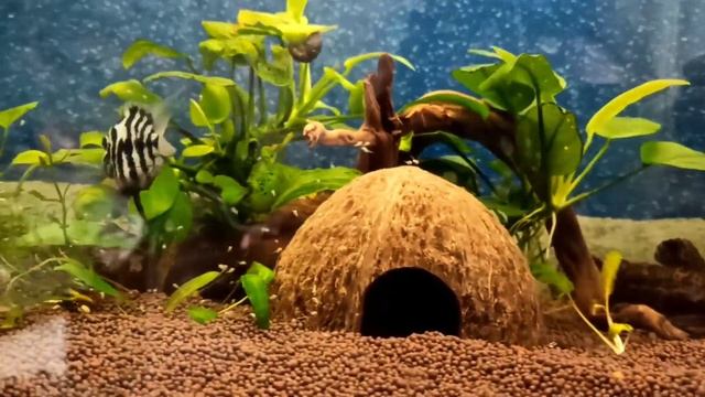 30.03.2024. У нас снова пополнение! смотреть онлайн