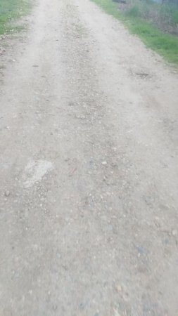 VID_20250410_171321