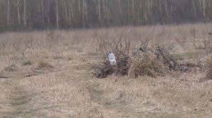 СТРЕЛЬБА НА 80 МЕТРОВ ИЗ ВИНТОВКИ CYMA M24 / AIRSOFT SNIPER