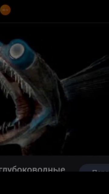 подводные обитатели смотреть онлайн