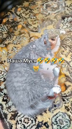 Наша Муся