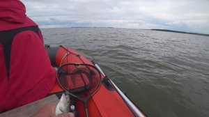 Боровое . Половили окуня в удовольствие.