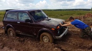 Застряли на ниве в лесу в грязи / Ниву засадили / В лес за грибами!