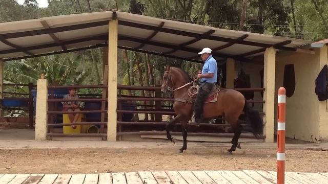 Reproductor Sol de Las Acacias смотреть онлайн