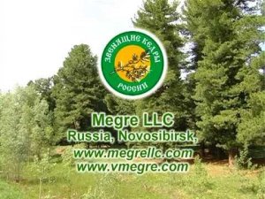 The video presentation of company Megre LLC