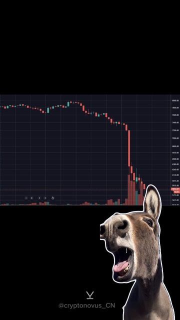 cryptonovus_CN